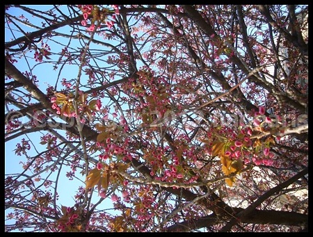P3050074