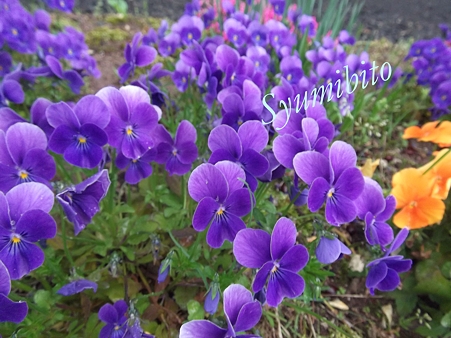 2012.5.3