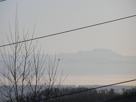 SANY0133
