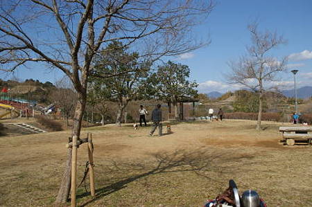 DSC04564