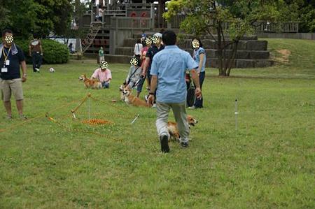 DSC00930