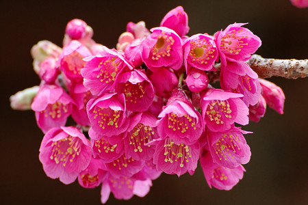 IMG_9124_DxO