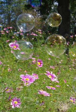 IMGP5867_0925