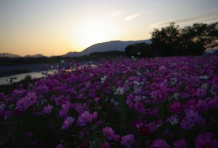 IMGP7979_1016