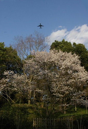 IMGP0083_0331