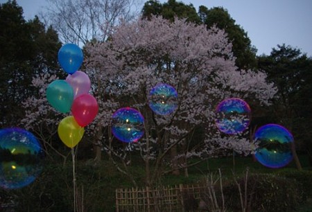 IMGP0863_0331