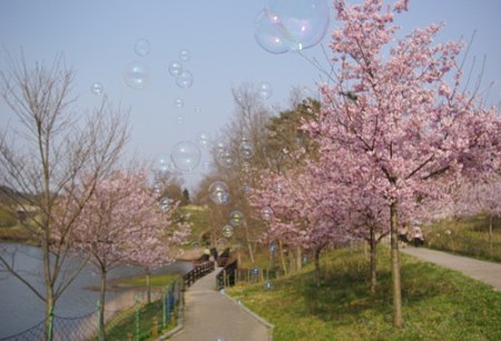 IMGP1401_0408b
