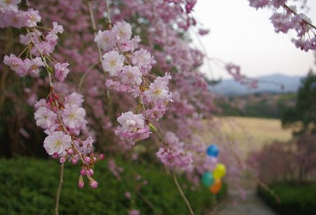 IMGP1725_0408b