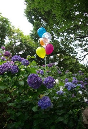 IMGP0088_0617