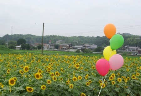 IMGP0074_0714