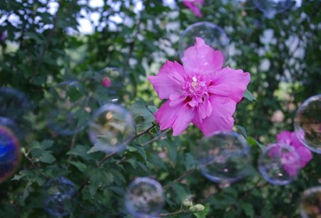 IMGP8895_0723