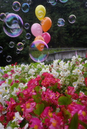 IMGP1565_0821