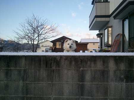気になるみたい