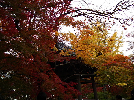 京都 288