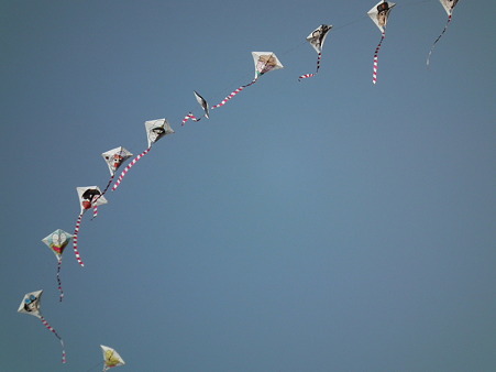 DSCF0098