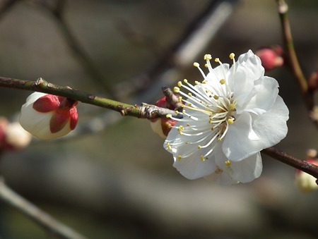 DSCF0079