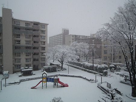 DSCF0015