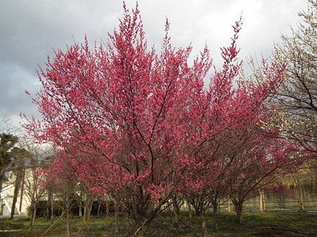 DSCF0072