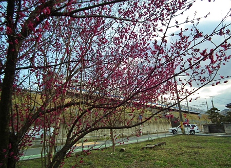 DSCF0054