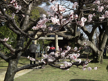 DSCF0315