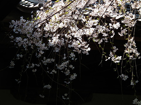 DSCF0206