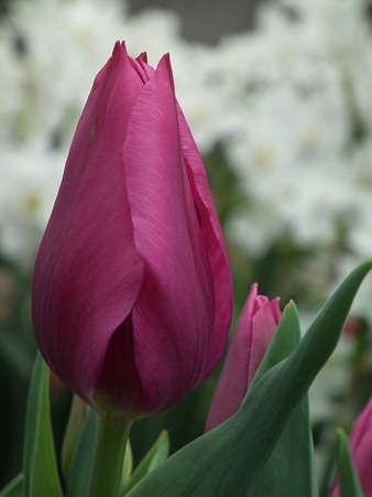 DSCF0183