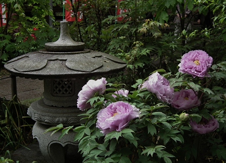 DSCF0145