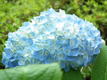 DSCF0026