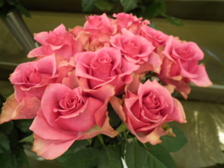 DSCF0831
