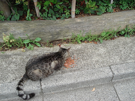 そおっと近づいてみる