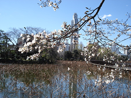 ソフィテル東京