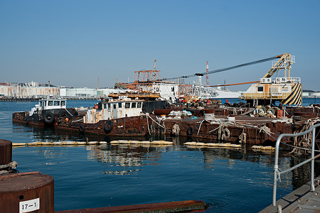 isogo100130026