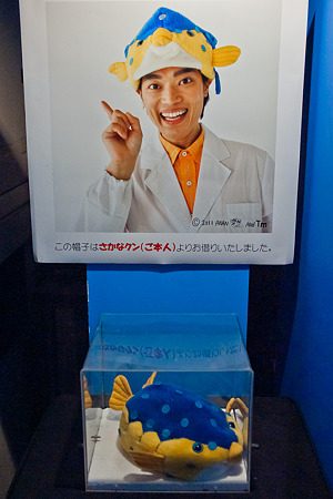 notojima120204839