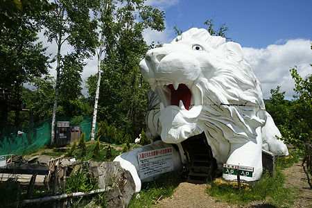 northsafari110705001