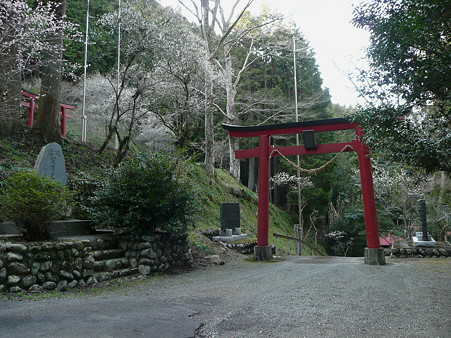 芭蕉天神宮鳥居前