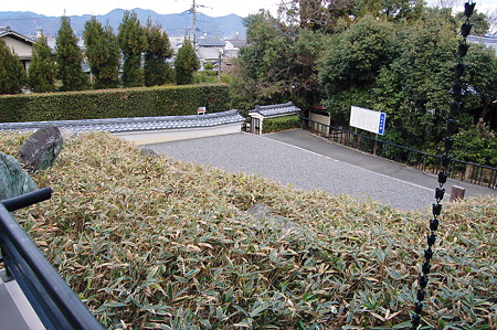 2012年01月08日_DSC_0316