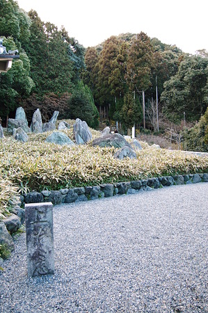 2012年01月08日_DSC_0322
