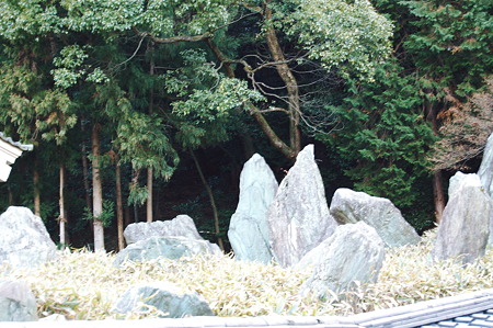 2012年01月08日_DSC_0324