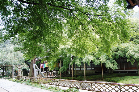 2011年08月14日_DSC_1043