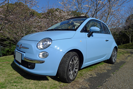 2012401sakura10