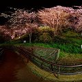 2012年4月6日　船越堤公園　夜桜 360度パノラマ写真