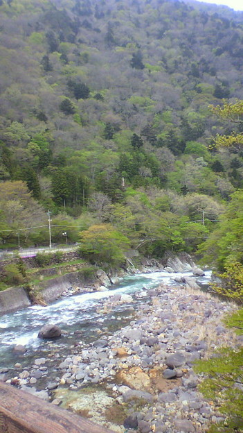 七ツ岩吊橋なう 山と川の眺 写真共有サイト フォト蔵