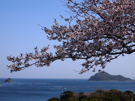 2012 春