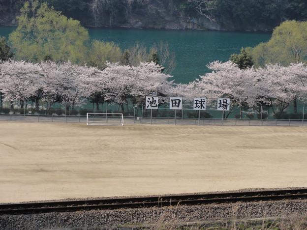 吉野川運動公園 池田球場 と桜 写真共有サイト フォト蔵