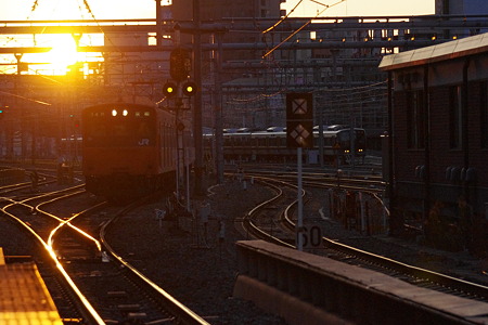 IMGP5538