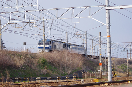 IMGP7417