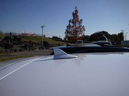 P1000369.JPG