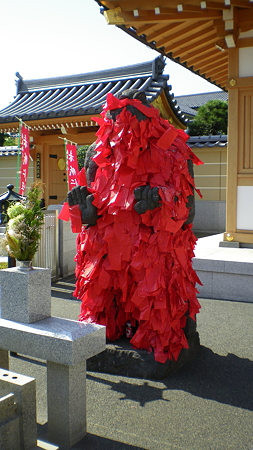 IMGP5520