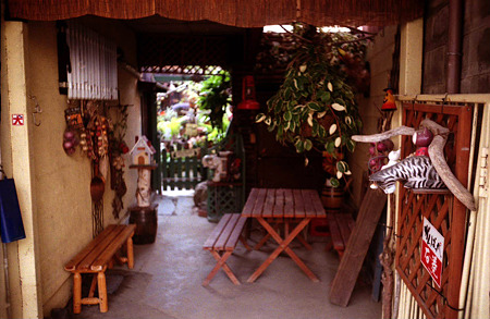 Image0142（minolta minoltina P）
