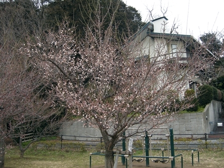 DSCN1987
